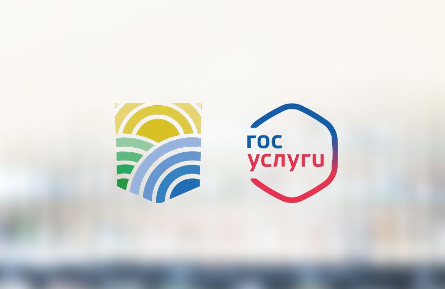 Как войти в личный кабинет работодателя по охране труда через Госуслуги Как войти в личный кабинет работодателя по охране труда через Госуслуги