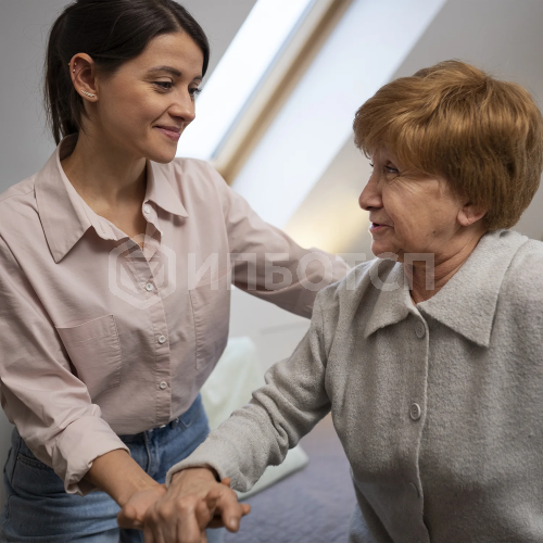 Ассистент по оказанию технической помощи